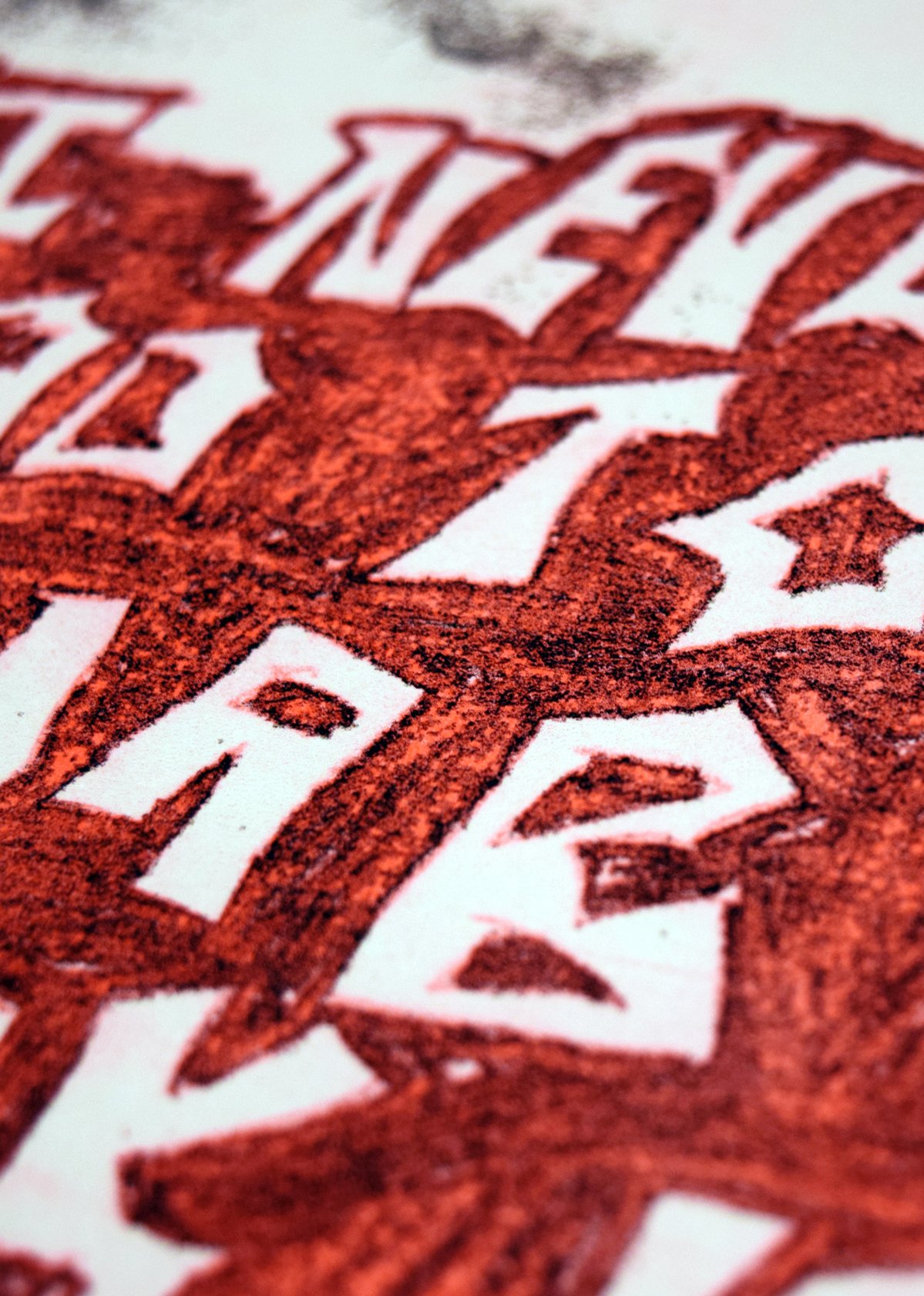 A Wooden Plank by Ariel Finch — detail 2