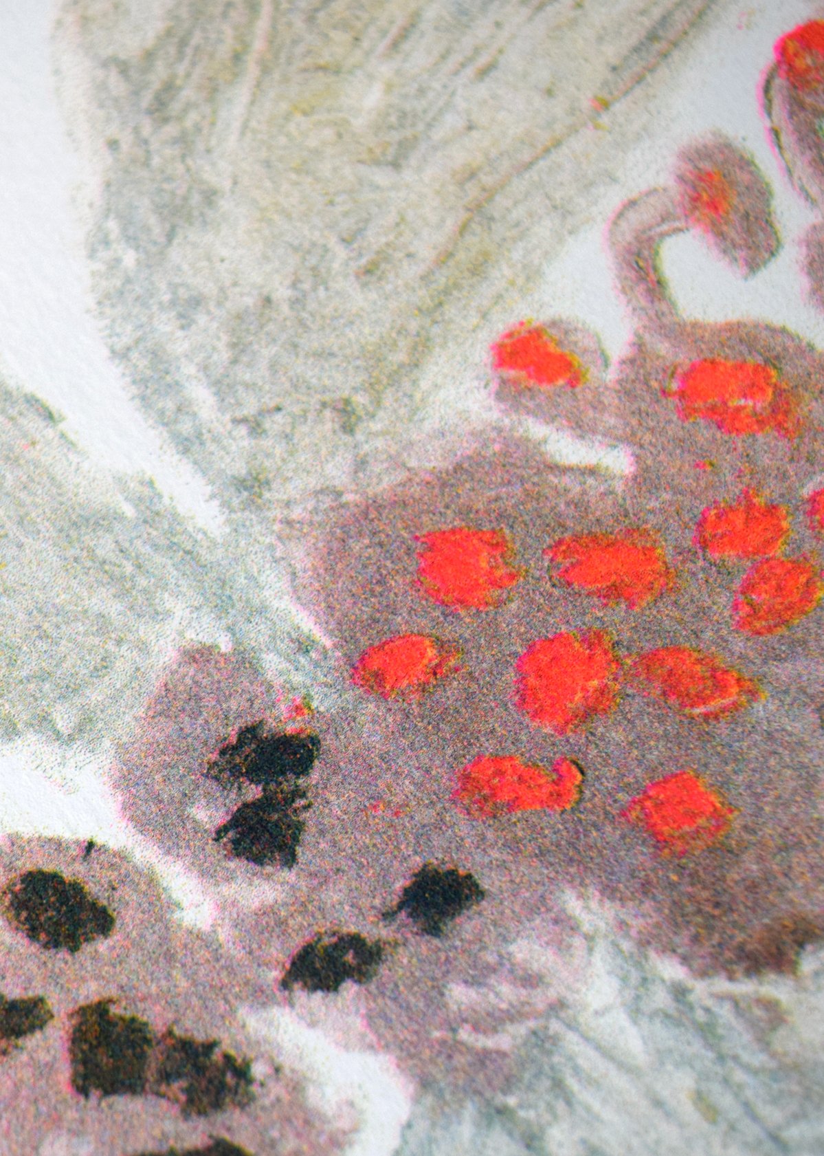 Bug Cards by Chris Harnan — detail 1